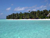 Isole Maldive ottobre 2003 Alimatha resort isola di Alimatha atollo di Felidhoo by Elena&Alessandro