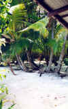Isole Maldive Asdu Sun island resort isola di Asdhoo atollo di male nord by Mara