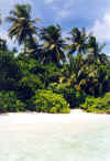 Isole Maldive Asdu Sun island resort isola di Asdhoo atollo di male nord by Mara