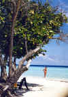 Isole Maldive Asdu Sun island resort isola di Asdhoo atollo di male nord by Mara