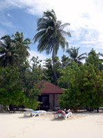 Isole Maldive Athuruga resort isola di Athurugaa atollo di Ari sud by Claudia&Dario di www.tuttomaldive.it