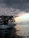Isole Maldive crociera motonave Silvester by Claudia&Dario di www.tuttomaldive.it