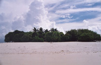 Isole maldive : Ellaidhoo resort isola di Ellaidhoo e Maaga atollo di Ari nord By Fausto&Mary