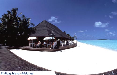Holiday cafe  jpg