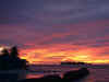 2006_60.jpg (18570 byte)