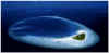 foto7.jpg (14613 byte)