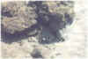 foto8.jpg (23809 byte)
