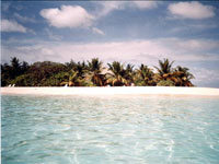 Isole Maldive luglio 2003 Machchafushi resort isola di Machchafushi atollo di Ari sud by Stefania&Andrea