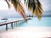 Isole Maldive luglio 2003 Machchafushi resort isola di Machchafushi atollo di Ari sud by Stefania&Andrea