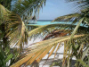 Isole Maldive agosto 2003 Machchafushi resort isola di Machchafushi atollo di Ari sud by Paola&Vittorio