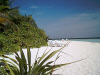 Isole Maldive agosto 2003 Machchafushi resort isola di Machchafushi atollo di Ari sud by Paola&Vittorio