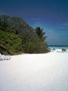 Isole Maldive agosto 2003 Machchafushi resort isola di Machchafushi atollo di Ari sud by Paola&Vittorio