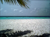 Isole Maldive agosto 2003 Machchafushi resort isola di Machchafushi atollo di Ari sud by Paola&Vittorio