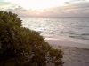 Isole Maldive agosto 2003 Machchafushi resort isola di Machchafushi atollo di Ari sud by Paola&Vittorio