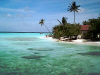 Isole Maldive agosto 2003 Machchafushi resort isola di Machchafushi atollo di Ari sud by Paola&Vittorio