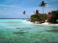Isole Maldive agosto 2003 Machchafushi resort isola di Machchafushi atollo di Ari sud by Paola&Vittorio