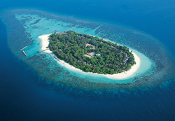 isole maldive foto photo informazioni isola di madoogali atollo di ari nord