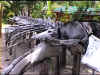 D14.jpg (266653 byte)