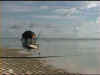 M11.jpg (160478 byte)
