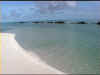 M2.jpg (146210 byte)