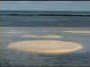 M3.jpg (161863 byte)