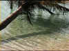 M6.jpg (240214 byte)