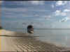 M8.jpg (171319 byte)