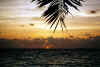 Olhuveli Settembre 2002 atollo di Male Sud by Jessica&Mari