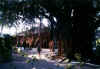 Olhuveli09.jpg (51685 byte)