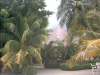 Olhuveli