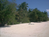 Olhuveli