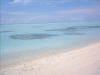 Olhuveli