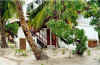 maldive A05.jpg (84676 byte)