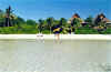maldive A22.jpg (62485 byte)