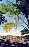 maldive A24.jpg (66162 byte)