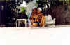 maldive A27.jpg (51117 byte)