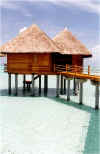 maldive A42.jpg (36447 byte)