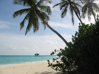 Isole Maldive : Palm Beach resort aprile 2003 isola di Madhiriguraidhoo atollo di Lhaviyani by Mauro&Ale