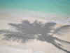 04280072.jpg (29477 byte)