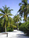 04300123.jpg (32443 byte)