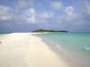 04300140.jpg (27201 byte)