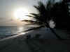 05010165.jpg (23402 byte)