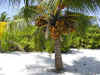 05020207.jpg (34496 byte)