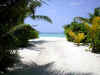 05020208.jpg (27602 byte)