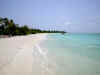 05020209.jpg (29675 byte)