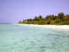 05020212.jpg (26078 byte)