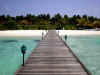 05020213.jpg (33005 byte)