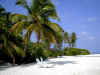 05020222.jpg (27106 byte)