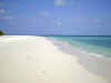 05020223.jpg (33931 byte)