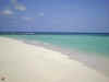 05020226.jpg (33456 byte)